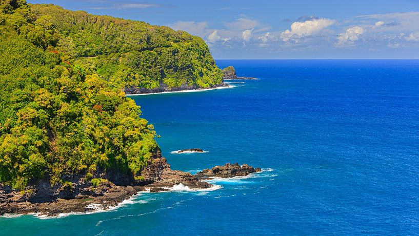 Vue sur la mer depuis la route de Hana, Maui, Hawaii par Henk Meijer Photography