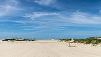 Noorderstrand, Terschelling