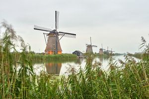 Semaine de l'éclairage de Kinderdijk 2020