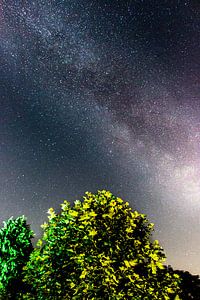 Tree under the milkyway von Bas Witkop