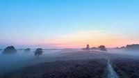 Zonsopkomst Gasterse Duinen heide