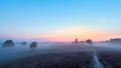 Zonsopkomst Gasterse Duinen heide van R Smallenbroek