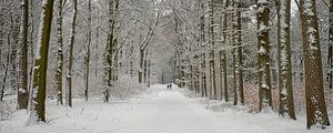 Winterwanderer