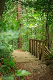 Wandeling in het bos van Basti´s Pix und Raus