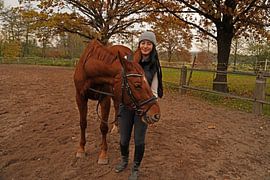 Training with the bay Oldenburg mare on a riding arena