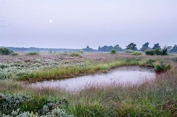 Full moon above Fagne Malchamps