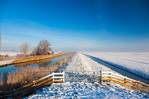 Wide Dutch winter landscape