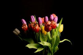Tulpen von Maaike Krimpenfort