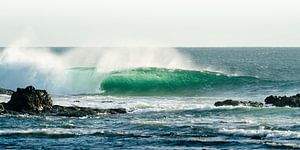Green barrel - Fuerteventura van Claudia Huigsloot