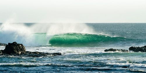 Green barrel - Fuerteventura