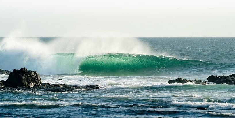 Tonneau vert - Fuerteventura par Claudia Huigsloot