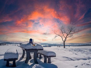 Picknick met thermosfles en thee in een winters landschap van Animaflora PicsStock
