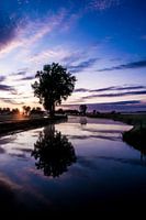 Weerspiegeling boom verticaal
