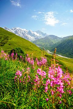 Berg und Gletscher in Georgien bei Ushguli von Leo Schindzielorz