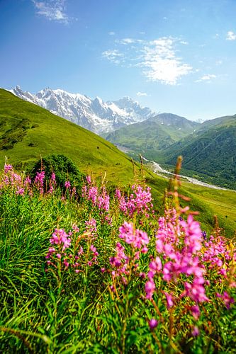 Berg en gletsjer in Georgië bij Ushguli