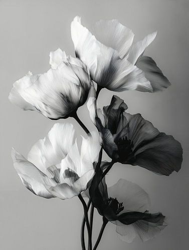 Noir Blüte von Cats & Dotz