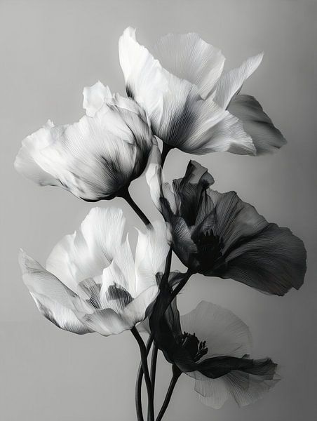 Noir Bloom by Cats & Dotz