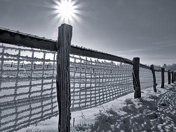 Besneeuwd hek in de winterse zon van Katrin May