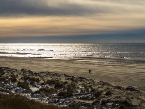 WAL - Wide Area Landscape