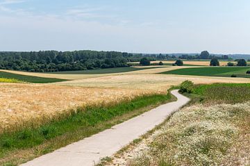 Landschap Vlaams Brabant van Richard Wareham