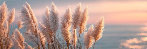 Horizon van lichtheid