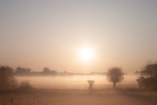 Zonsopkomst