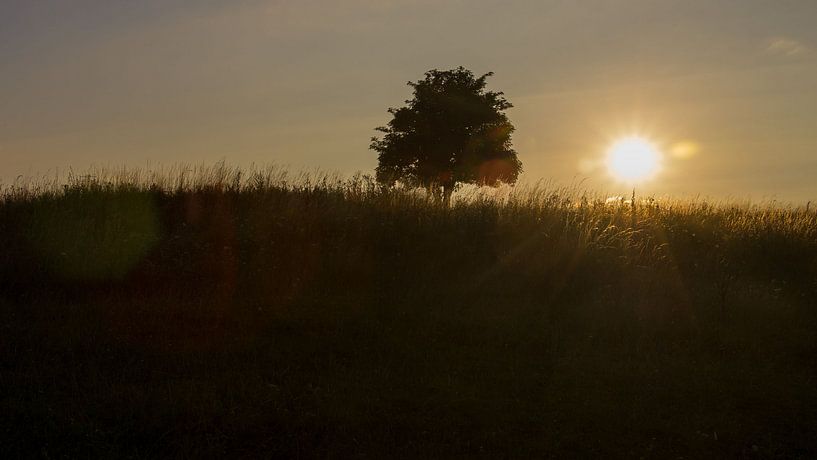 Nature 021 von RiBi Photography