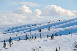 Fulufjäll Hochplateau im Winter von Leo Schindzielorz