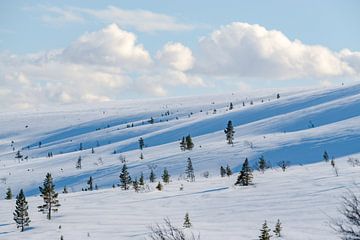 Fulufjäll hoogvlakte in de winter van Leo Schindzielorz