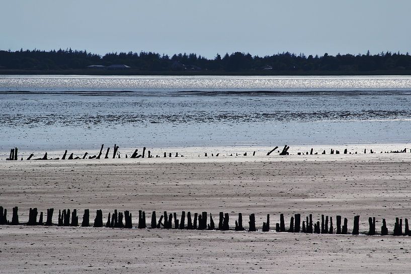 Vadehavet-Nationalpark, Jütland, Dänemark von Imladris Images