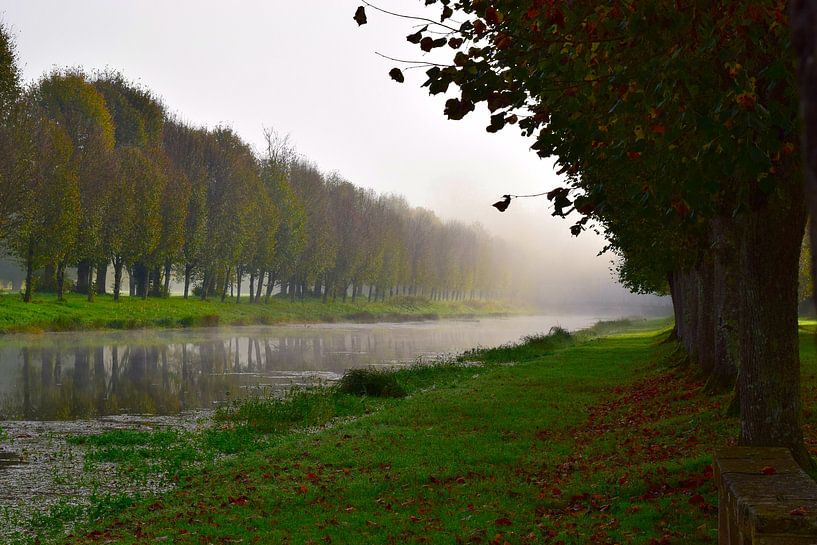 Brouillard au-dessus d'un canal en Bourgogne, France, au lever du soleil en automne - reflet de la verdure dans l'eau stagnante. par Studio LE-gals