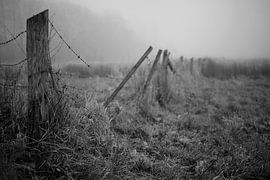 Bünde in the fog III | Nature reserve by Momentaufnahme | Marius Ahlers