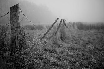 Bünde in de mist III | Natuurreservaat van Momentaufnahme | Marius Ahlers