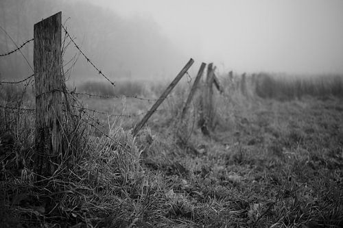 Bünde in de mist III | Natuurreservaat