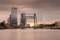 skyline van rotterdam