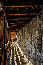 battlements on the city wall by Dieter Walther