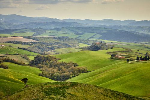 Glooiende heuvels van Graham Forrester