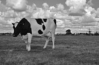 Koe in weiland met molen van Maurice Kruk thumbnail