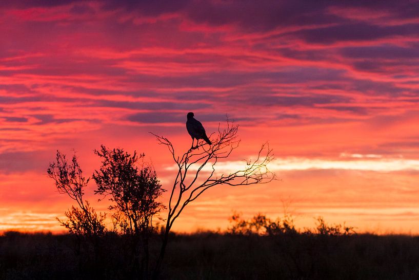 zonsopgang par Patries Photo