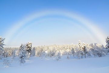 Magnifique arc de brouillard en provenance de Finlande sur rik janse