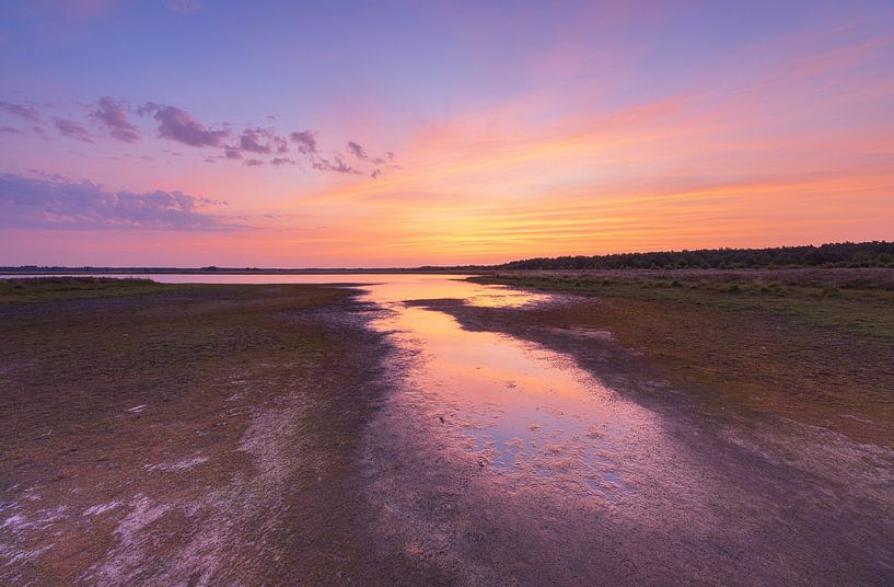 Colourful sunrise Dwingelderveld - Drenthe (Netherlands) by Marcel Kerdijk