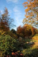 Verzauberung im Wald