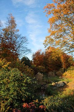 Enchantment in the Forest