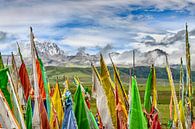 Tagong. Gebedsvlaggen, rollende vlaktes en de heilige berg Yala . van Theo Molenaar thumbnail