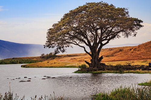 Ngorongoro krater in Tanzania
