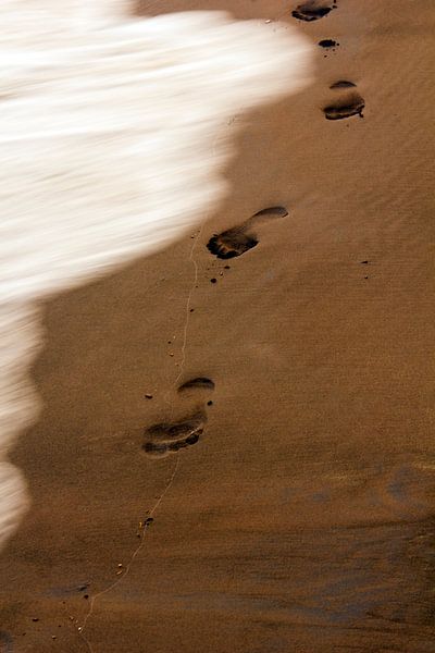 The Footsteps by Cornelis (Cees) Cornelissen