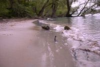Rhine beach in Mainz