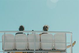 Freedom by Simona Lamberti