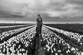 hollands by Angela Stouten