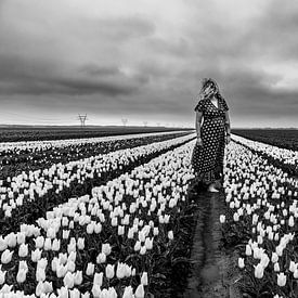 hollands van Angela Stouten